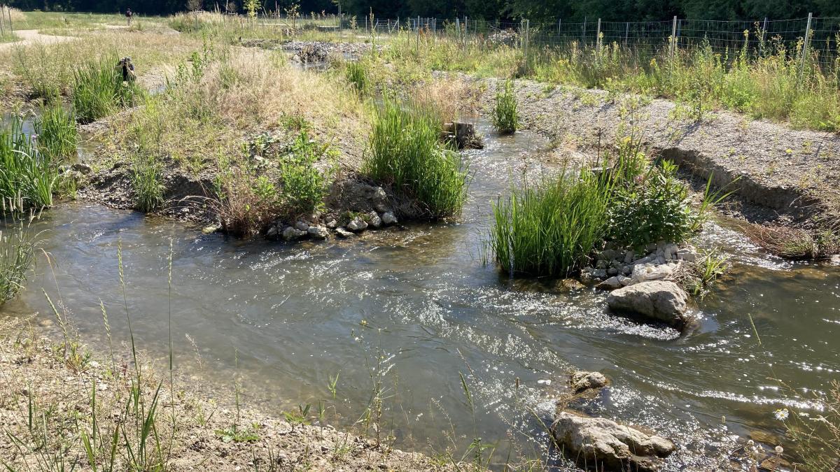 Millionenprojekt Ist Fertig Nun Kann Ein Neues Biotop An Der Donau