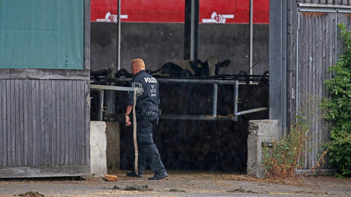 Allgäu Warum der Tierskandal Prozess auf sich warten lässt