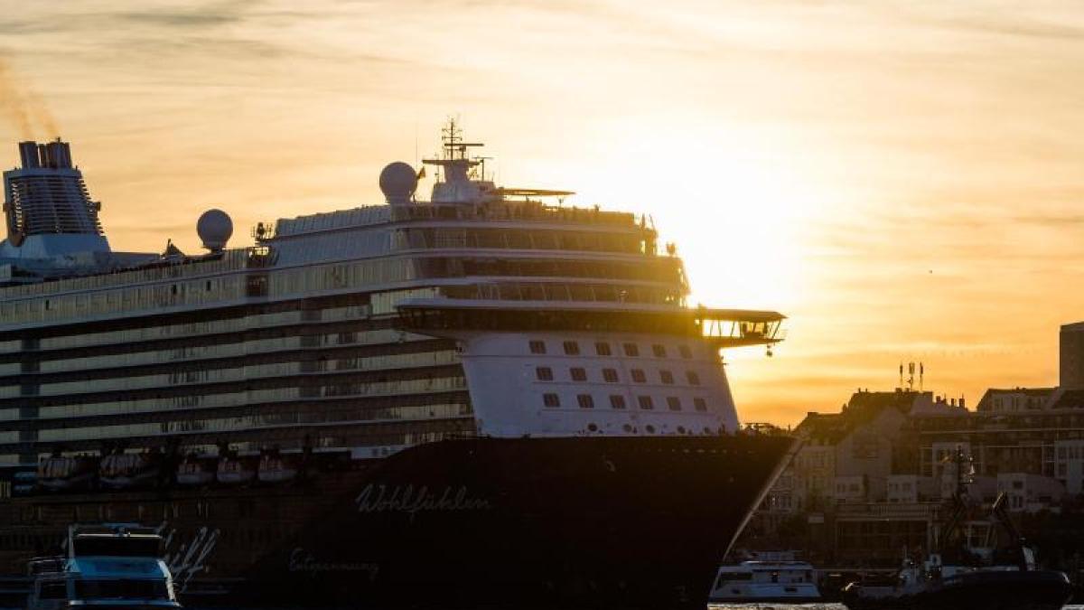 Tarife Im Berblick Tui Cruises Senkt Preise F R Internet An Bord