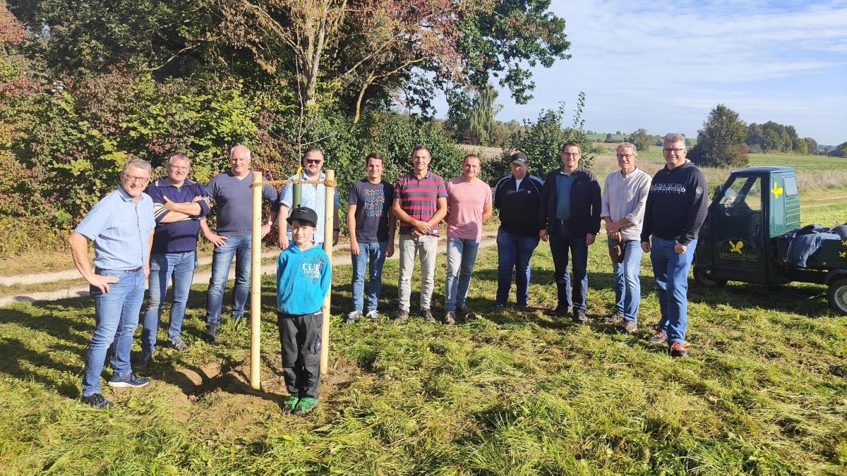 In Pöttmes wächst eine Streuobstwiese Bürger können sich beteiligen