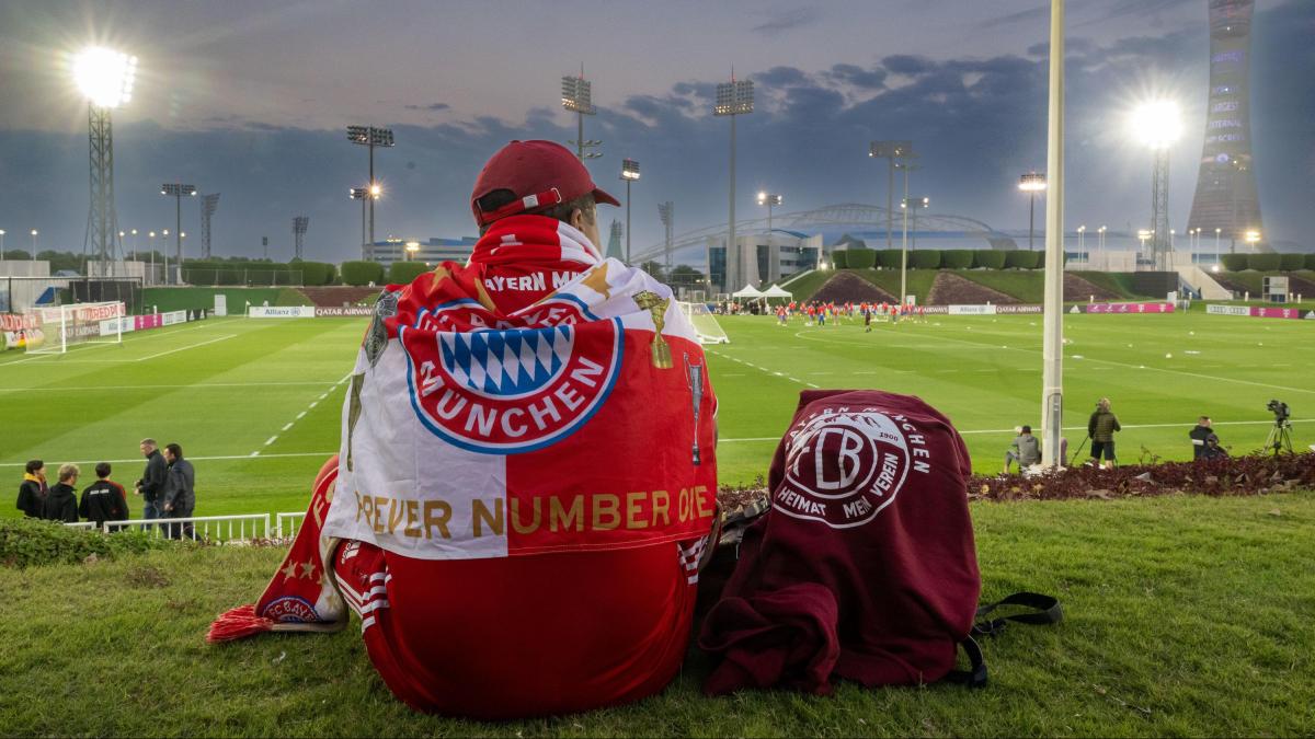 Kommentar Das Katar Ende Beim Fc Bayern Zeigt Welche Macht Mitglieder