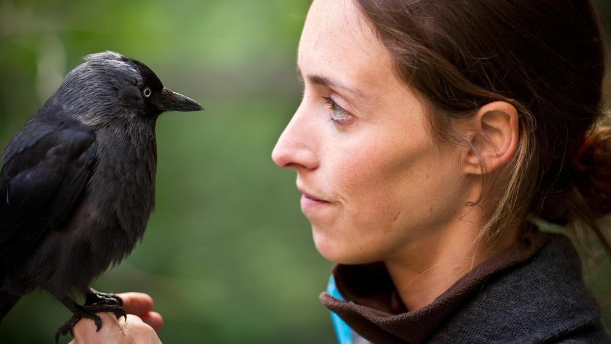 Neues Naturkundemuseum Biotopia in München Ein Leuchtturm für das Leben