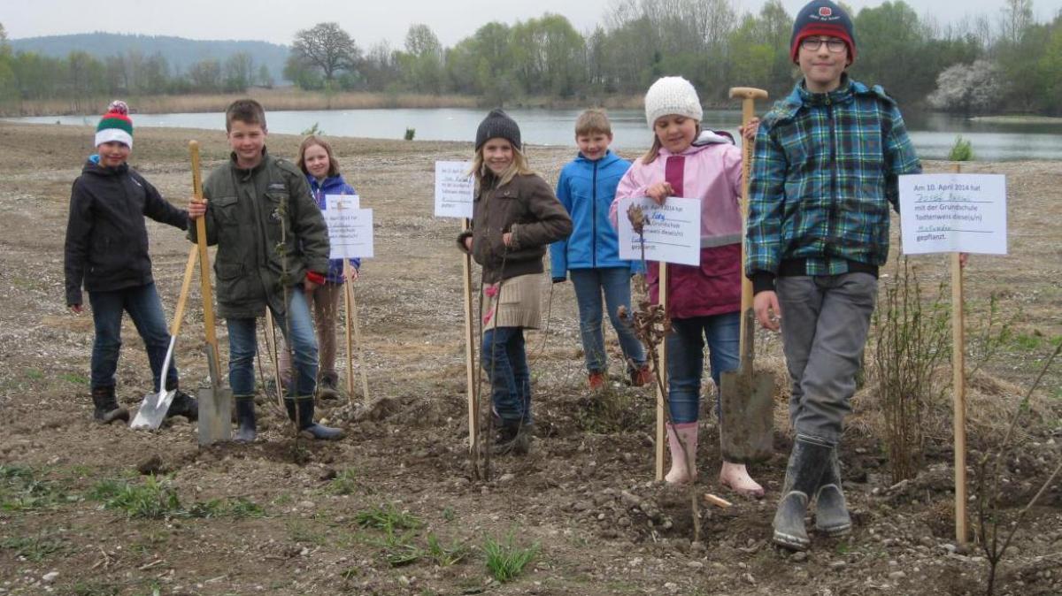 Schüler pflanzen Bäume