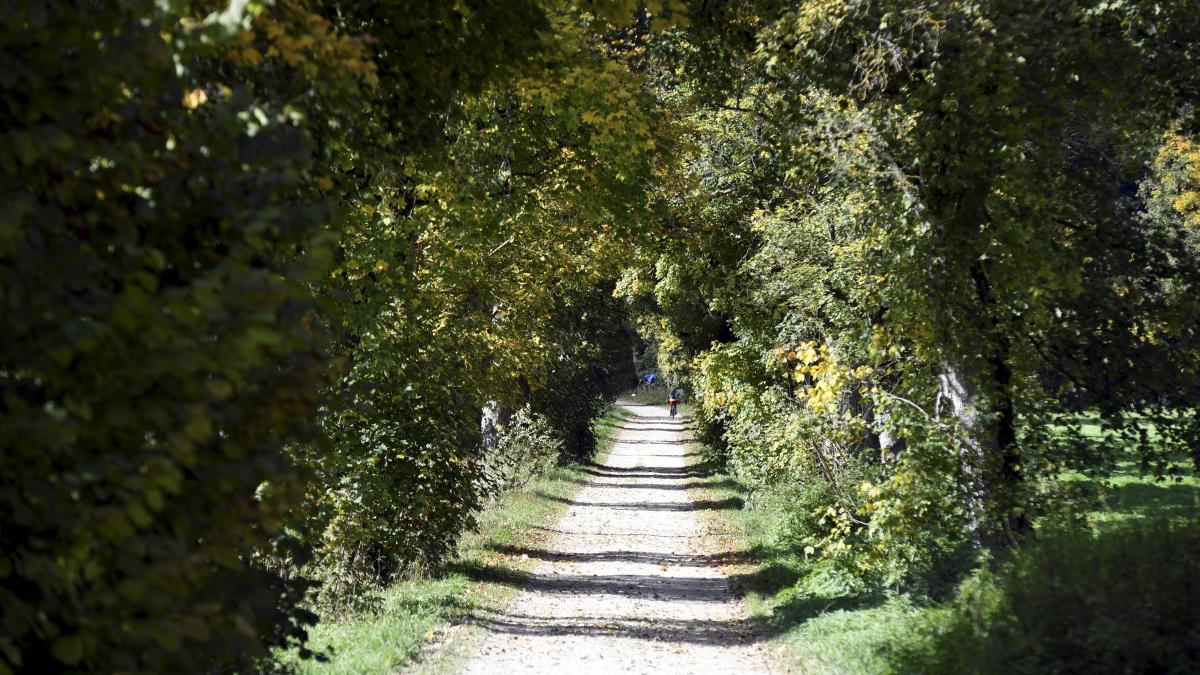 Augsburg Augsburger Stadtr Te Geben Gr Nes Licht F R Waldfriedhof Bei