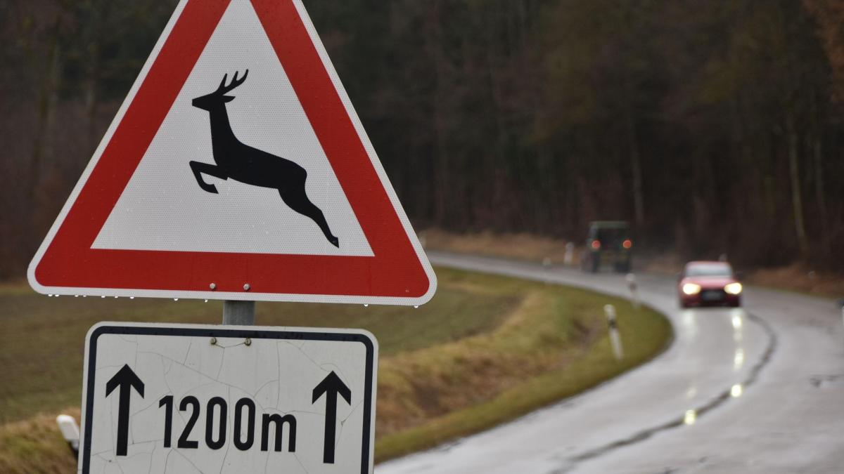 Bubesheim Autofahrerin L Sst Verletztes Reh An Der Unfallstelle Zur Ck