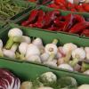 Weniger Fleisch, mehr Gemüse sollte für eine gesunde Ernährung auf dem Einkaufszettel stehen, rät Ernährungsberaterin Ulrike Birmoser. 	