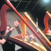 Die Harfenistinnen von age of harp bekam nun die laut RTL "gnadenlose Jury" mit Dieter Bohlen, Sylvie van der Vaart und Bruce Darnell beim Casting für das "Supertalent 2010" zu hören. Archivbild: schmidt