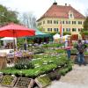 Vom 29. April bis 1. Mai 2022 findet die Lebensraum Garten Ausstellung auf Gut Mergenthau statt. 