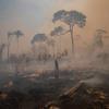 Brände im Amazonas-Gebiet sind zwar weit entfernt, betreffen aber alle Menschen, auch im Landkreis Günzburg.