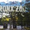 Der Eingang zum Bronx Zoo in New York. Ein Tiger in einem Zoo in New York hat sich mit dem neuartigen Coronavirus infiziert.