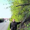 Diese Äste gehören zu dem Baum, der unverhofft beinahe auf die Staatsstraße am Mühlhausener Berg gestürzt wäre. Förster Michael Reißmann zeigt auf den Auslöser der Hiebaktion. Foto: Golling
