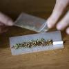 Zu viele Joints: Die Zahl der Krankenhausbehandlungen in Folge von Cannabiskonsum hat sich deutschlandweit deutlich erhöht.