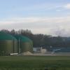 Diese Biogasanlage im Wertinger Stadtteil Roggden steht direkt neben der Staatsstraße 2027 und südlich  vom Creaton-Werksgelände.