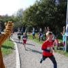 Bei bestem Wetter starteten am Sonntag viele kleine und große Läufer beim Meringer Marktlauf des TVM.