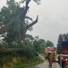 Starker Regen setzte am Donnerstagabend in Wertingen und Roggden Straßen und Keller unter Wasser. Die Feuerwehr war mehrfach im Einsatz.