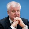 Innenminister Horst Seehofer will die Abschieberegelungen für gewalttätige Asylbewerber verschärfen.