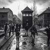Das Motiv einer Serie, aufgenommen im KZ Auschwitz. Der beim Main-Echo Aschaffenburg fest angestellte Pressefotograf Stefan Gregor aus Großostheim gewinnt die Kategorie Serie.