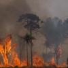 Bilder wie diese könnte es in Zukunft häufiger geben: Hier steht ein Waldstück im Amazonas-Gebiet in Flammen.