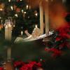 An Weihnachten wird in Augsburgs Kirchen in vielen Gottesdiensten die Botschaft von der Geburt Jesu verkündigt. 