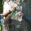 Als Erkennungsmerkmal für Waldbesucher versehen Maximilian Fottner und Dominik Reil ausgewählte Biotopbäume im Mergenthauer Forst mit Zertifizierungsplaketten