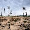 Barroso: Umweltkrise könnte Finanzkrise übertreffen