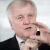 CSU-Chef Horst Seehofer will Steuererleichterungen für Familien.