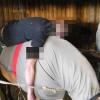 Auf dem Rücken eines Pferdes schlief ein Mann seinen Rausch aus – und wurde noch nicht einmal wach, als ihn die Polizei fotografierte.