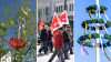 Der 1. Mai erinnert an historische Protestbewegungen – aber nicht nur. Wie gut kennen Sie sich mit dem Feiertag aus?