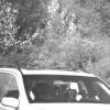 Dieses besondere Blitzerfoto hat die Verkehrspolizei Aschaffenburg-Hösbach  aufgenommen. Es sieht aus, als ob der Hund am Steuer sitzen würde. 