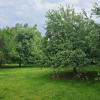 Rosa Schurers Lieblingsgarten ist der Obstgarten. Die fast 90-jährige Gartenbesitzerin will nicht auf ein Foto. Denn es komme ja auf den Garten an, sagt sie.