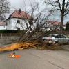 In der Frühlingstraße in Friedberg hat das Orkantief Sabine einen Baum zu Fall gebracht. Der beschädigte ein Auto.
