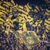 Dortmunds Fans auf der Tribüne im RheinEnergieStadion in Köln.