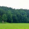 Der Nutzungsrechtwald bei Kettershausen ist einer der größten kommunalen Wälder im Unterallgäu.