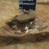 Grabungen auf einem Gewerbegebiet in Kirchhaslach. Reste aus dem 13. bis 14. Jahrhundert wurden gefunden.