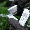 Nur ein Bruchteil der deutschen Weihnachtsbäume haben weder Pestizide, Herbizide noch Dünger gesehen.