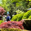 Der Japangarten im Botanischen Garten wurde 1984 angelegt. Er zeichnet sich durch seine Teiche aus. 	 	