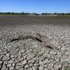 Dürre in Texas: Der Klimawandel birgt gewaltige Risiken für Mensch und Natur.