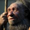 Der moderne Mensch wurde dem Neandertaler zum Verhängnis - er war für ihn verheerender als ein gewaltiger Vulkanausbruch. 