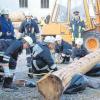 Bei der Übung befreiten die Mitglieder der Feuerwehr Thierhaupten mithilfe von zwei Luftkissen eine Person, die unter einem Holzstamm eingeklemmt war. Kreisbrandrat Alfred Zinsmeister (stehend im Hintergrund am Stapler) beobachtete die Truppe. 