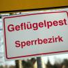 Nach dem Ausbruch der Geflügelpest in einem Stall im Gemeindegebiet Ziertheim hatte das Landratsamt eine Schutzzone und eine Überwachungszone festgelegt.  Die Schutzzone wurde inzwischen aufgehoben. 
