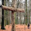 Mancherorts bieten Ruhewälder eine Alternative zum Friedhof. Auch in Augsburg wird ein solches Angebot geprüft. 