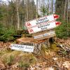 Wanderung im Scheppacher Forst: Beim Wandern gibt es viel zu entdecken.