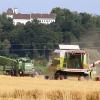 Im Landkreis Aichach-Friedberg ist die Getreideernte weitestgehend abgeschlossen. Die Bilanz fällt unterdurchschnittlich aus.