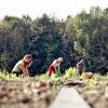 Die Gemeinschaft auf Schloss Blumenthal  will die Landwirtschaft ausbauen. Es gibt aber noch mehr Pläne.