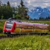 Die Grünen verlangen die schnelle Reaktivierung von 18 Bahn-Nebenstrecken in Bayern. 