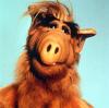 Die Fensehserie "ALF" feiert ihr 25-jähriges Jübiläum. Am 5. Januar 1988 wurde "ALF" erstmals im ZDF ausgestrahlt. Aber was wurde aus den Schauspielern?