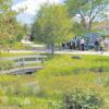 Ein kleines Naturparadies: der Waldpark in Huisheim. Am Sonntag kamen an die 3000 Besucher zu einem Fest anlässlich des „Jahres der Wälder“.  