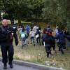 Flüchtlinge entkommen der französischen Polizei in einem Waldstück in Calais. Noch immer versuchen Hunderte, von Calais aus durch den Eurotunnel nach Großbritannien zu gelangen.