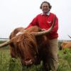 In der Komfortzone: Hochlandrindbesitzer Joe Engelhardt kämmt seiner Kuh Anja das Fell. Sie weidet derzeit an der Autobahn A8 bei Dasing. 