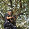 Die Berufsfeuerwehr Augsburg rettete am Dienstag eine ängstliche Katze aus einem Baum.